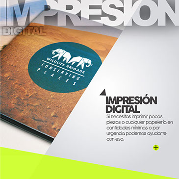 Impresión digital, tarjetas de presentación, papelería